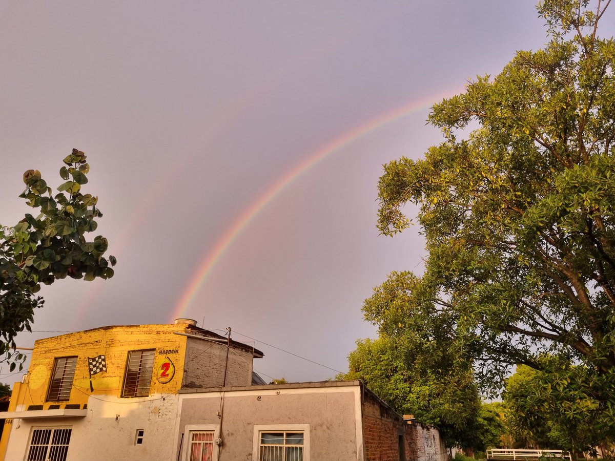 Jesus Alejandro tweet media