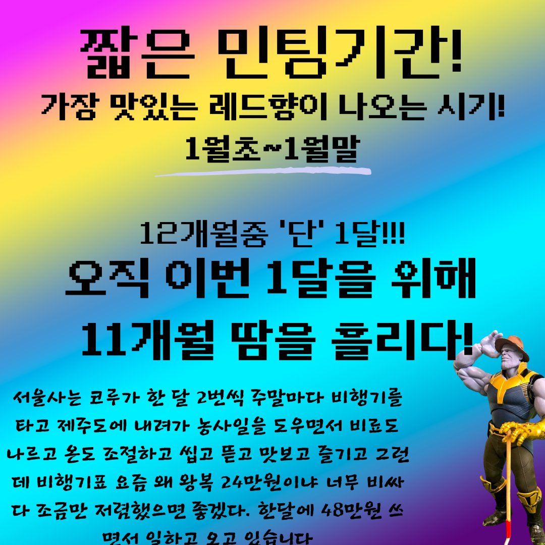 colu_farmer's tweet photo. 어이 거기 이쁜누나! 그냥 형들! 
이것 좀 보고 가세요!

1월 4일 이후 순차배송이고 저희 가족이 직접 피는 안흘리고 땀은 흘리면서 농사지은 만다린 퀸 '레드향'입니다!

https://t.co/HUM37Hc0u7

장사좀 하겠습니다! RT좀 눌러주세요! (제발..!) https://t.co/7RUDSfDZLz
