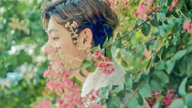 taetesdiary's tweet photo. — love that grows in enchanted places 💐🪷🍃 https://t.co/C8XhWeoUmF