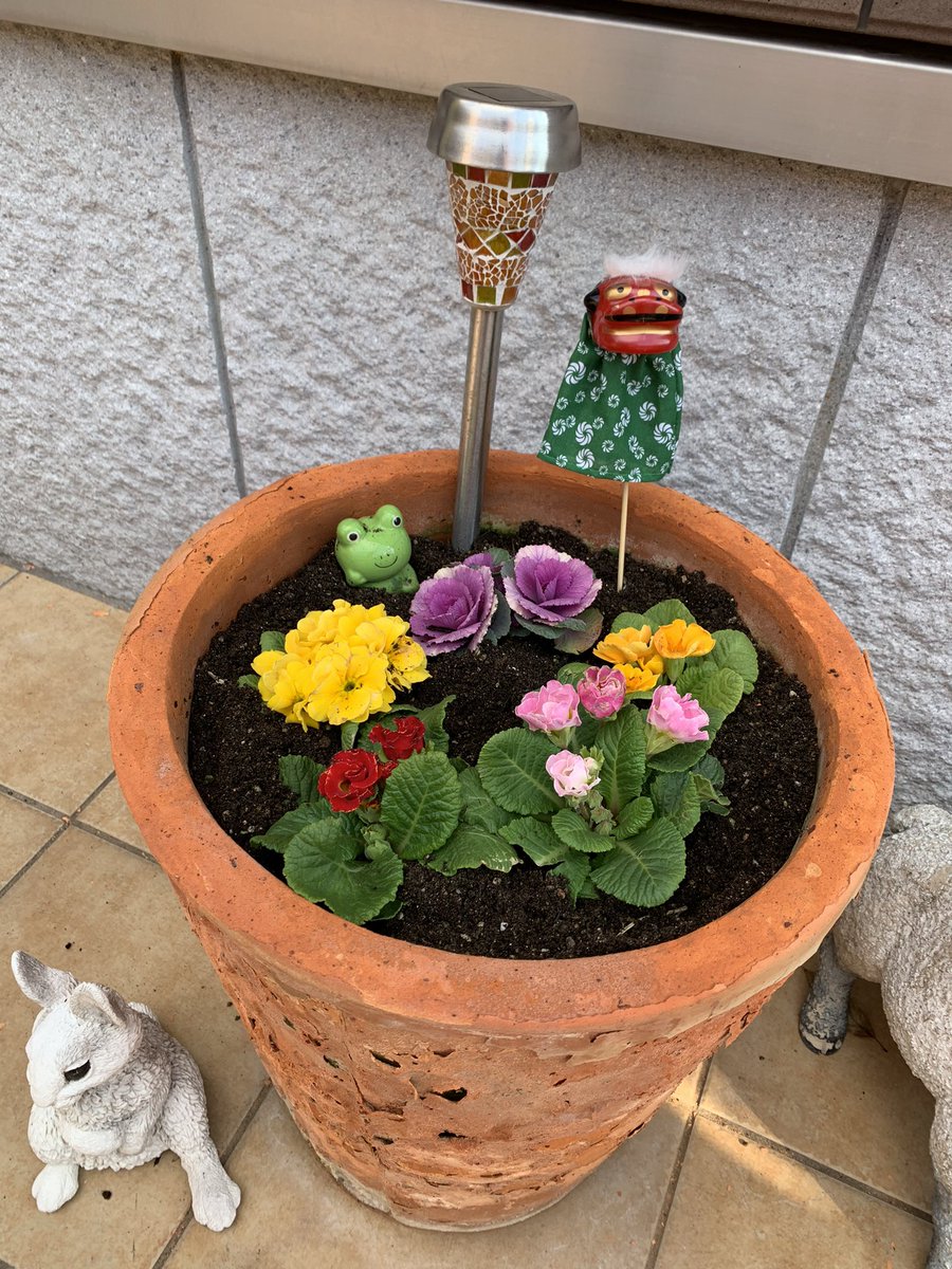drumsyuu's tweet photo. 新しい仔を植えました🌺
綺麗な色合いです✨

#ジュリアン #葉ぼたん https://t.co/gxz2uoS8Qo