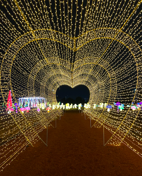 ChilangoCom's tweet photo. Lánzate a #WinterLantern, el festival de linternas chinas donde te podrás tomar fotos increíbles.
Toda la info por acá 👉https://t.co/h7hQDMvaUw
📸: @karliipeckerman https://t.co/mnB4q4CNcU
