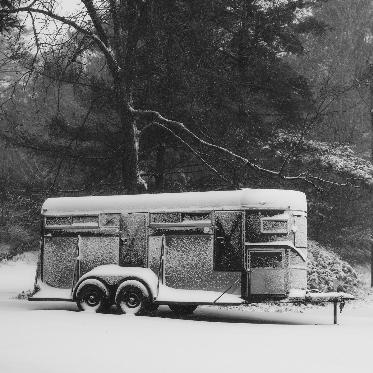 Late December

@bnwmasters 

#monochromatic #WinterStorm #snowfall #lawrencegriffin #blackandwhitephotography #leicacamera #brucecounty #Ontario #Canada