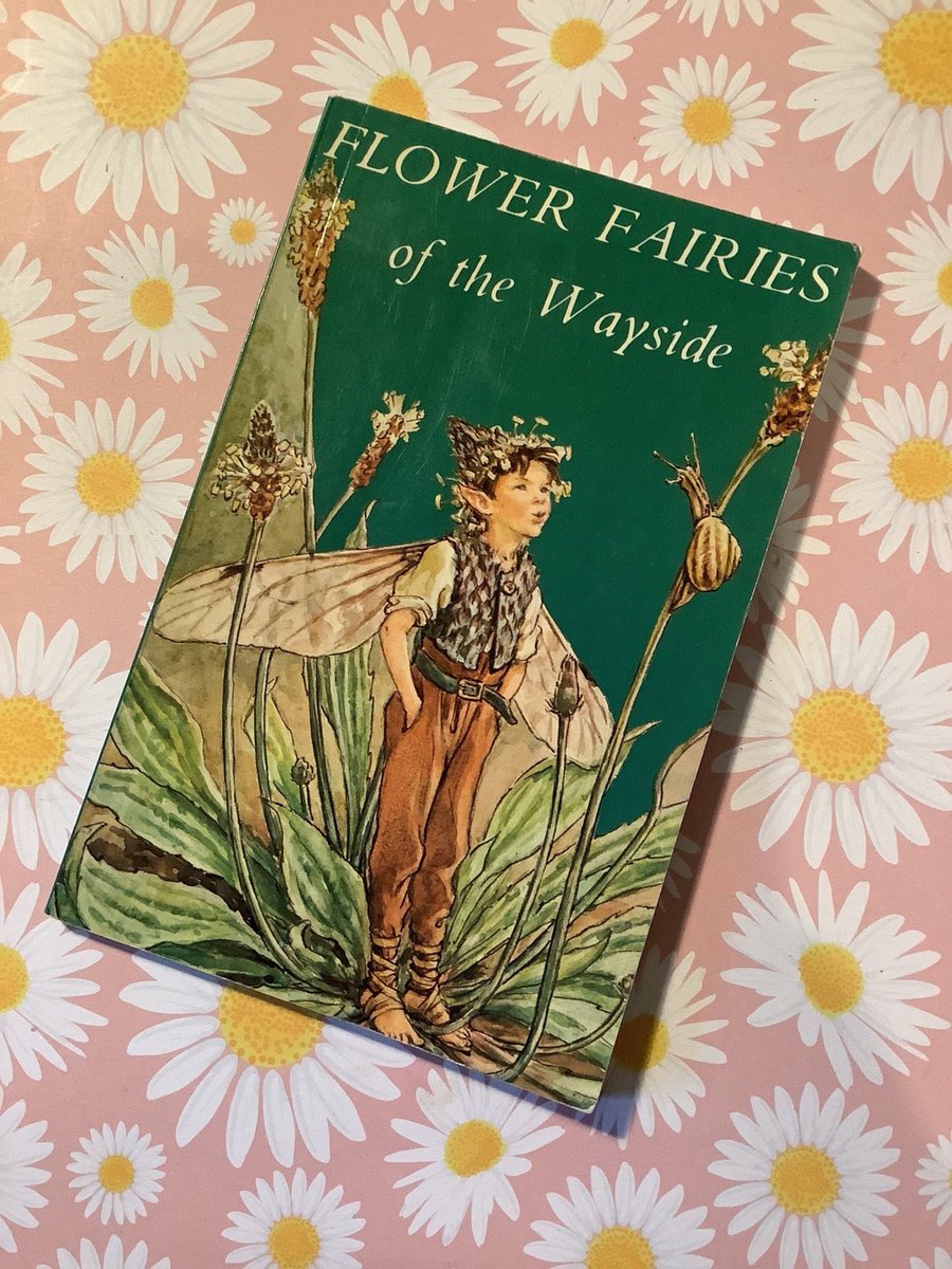 Excited to share this item from my #etsyshop VINTAGE #1974 'Flower Fairies of the Wayside' by #CicelyMaryBarker - Stunning #CollectableBook with 24 Colour Plates #VintageBirthdayGift etsy.me/3YSMelD #PaperbackBook #FlowerFairies #VintageBook #FairyLoverGift #PoetryLover