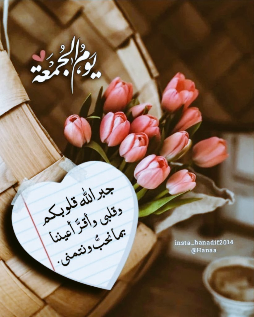 k25su's tweet photo. جمعتكم مباركة جميعآ ✨🌹 https://t.co/xeoCUzOTv2