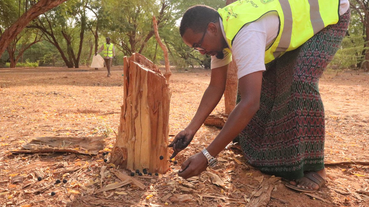 The_Imania's tweet photo. Building resilience for a sustainable future requires creativity and a regenerative community-centered approach.
Let us join hands in curbing climate change!
#ClimateActionCampaign! https://t.co/izZFpcZ4kZ