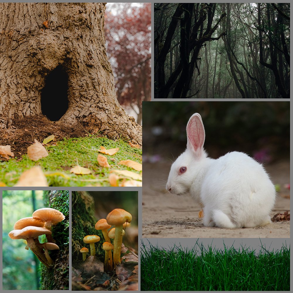 imlongneck's tweet photo. 2022 is about to end. Are we ready for an adventure down the #Rabbithole ? #YearOfTheRabbit #year2023 

#photomanipulation #photoshop #photoediting #rabbit https://t.co/lwHKu5dFKz