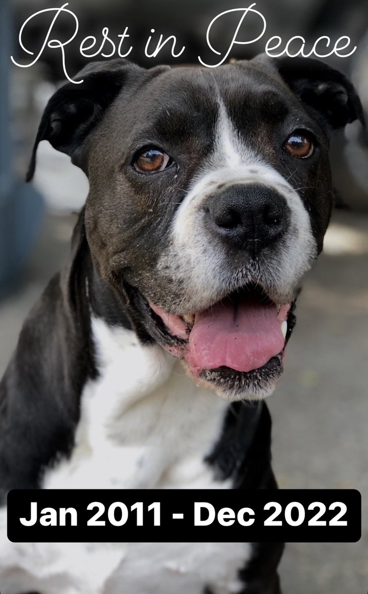 Voodooness tweet media