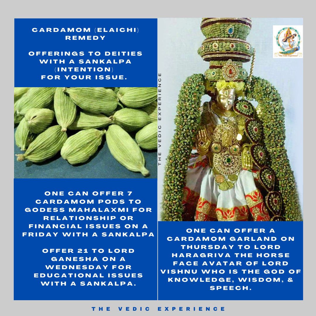 VedicExperience's tweet photo. #cardamom #vedicremedies https://t.co/yBMgAHd4K5