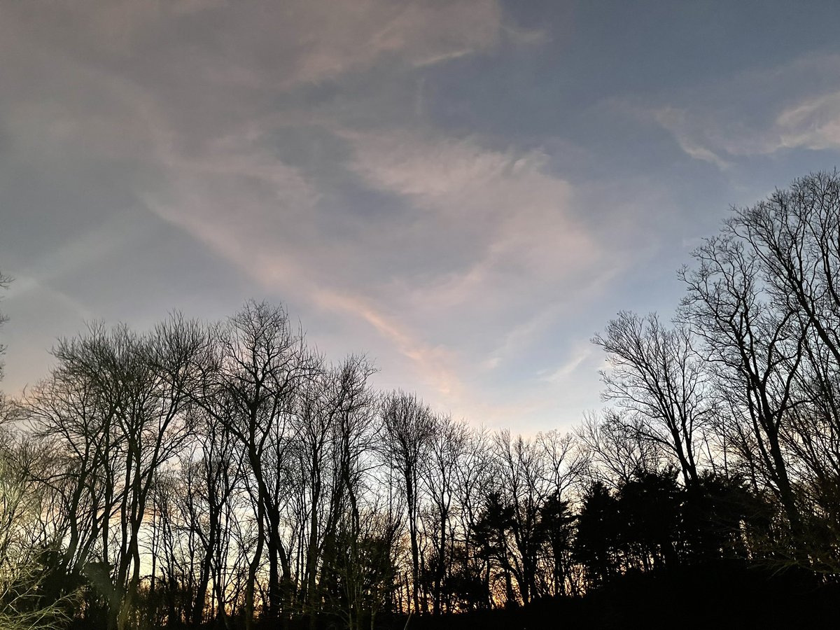 iRetweet tweet media