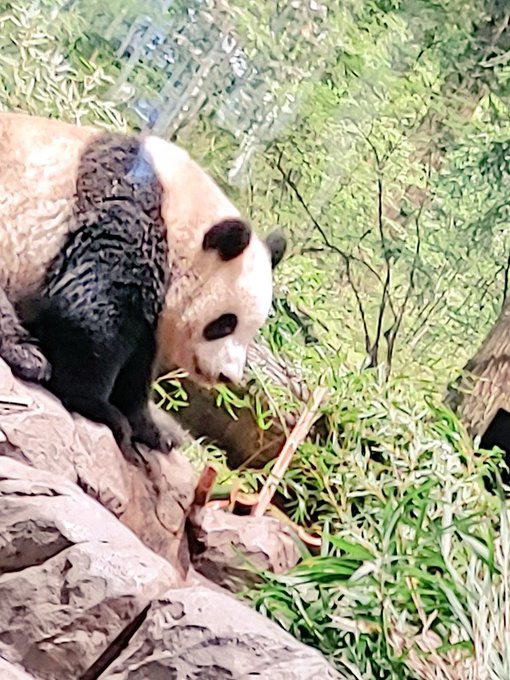 Twitterのコスプレ画像31