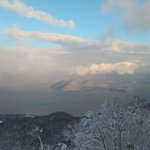 ツイートに含まれる画像