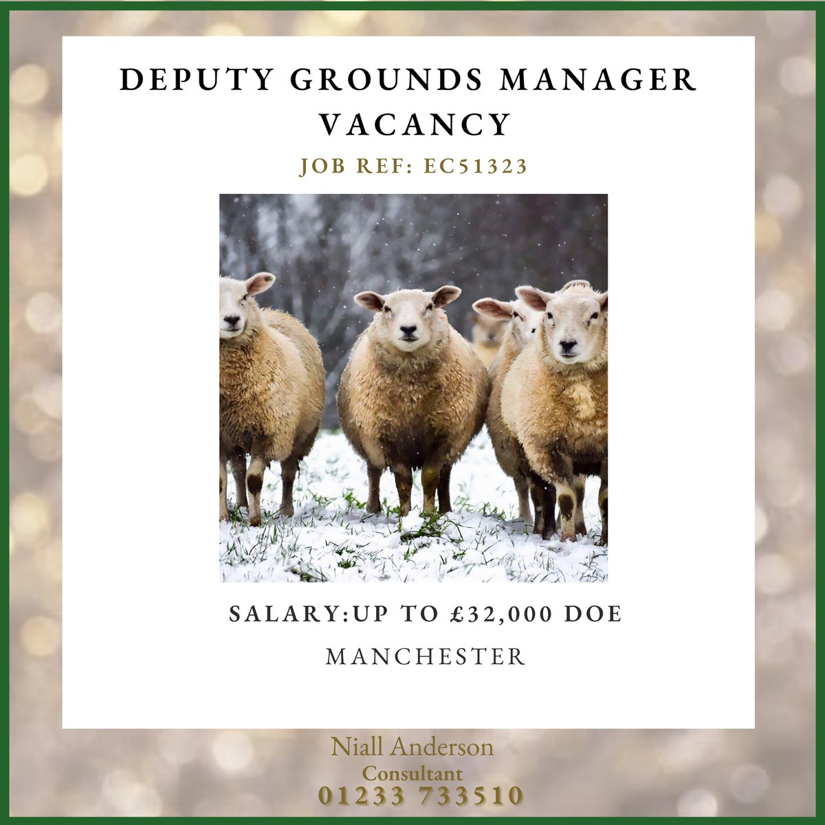 ECG on Twitter "An exciting opportunity has available for an