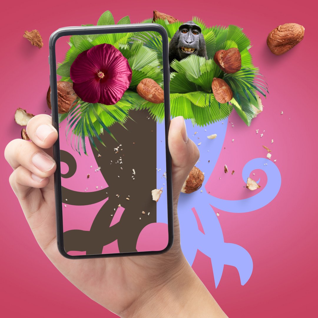 25% of all proceeds donated to beach cleaning + 10% of all proceed are allocated to community utility. 4 sale: Negra Beach Costa Rica | meta11-11nft | opensea

#nft #nftart #nfts #octopus #nftcommunity #digitalart  #nftinvesting #nftcollector  #Beachcleaning  #CostaRica