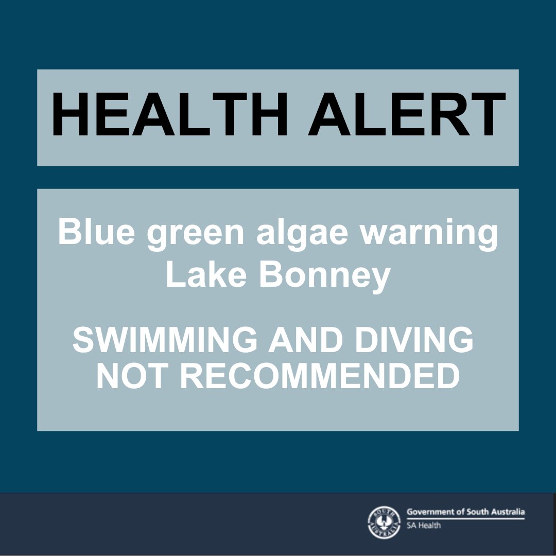 SA Health on Twitter "There are high levels of blue green algae at