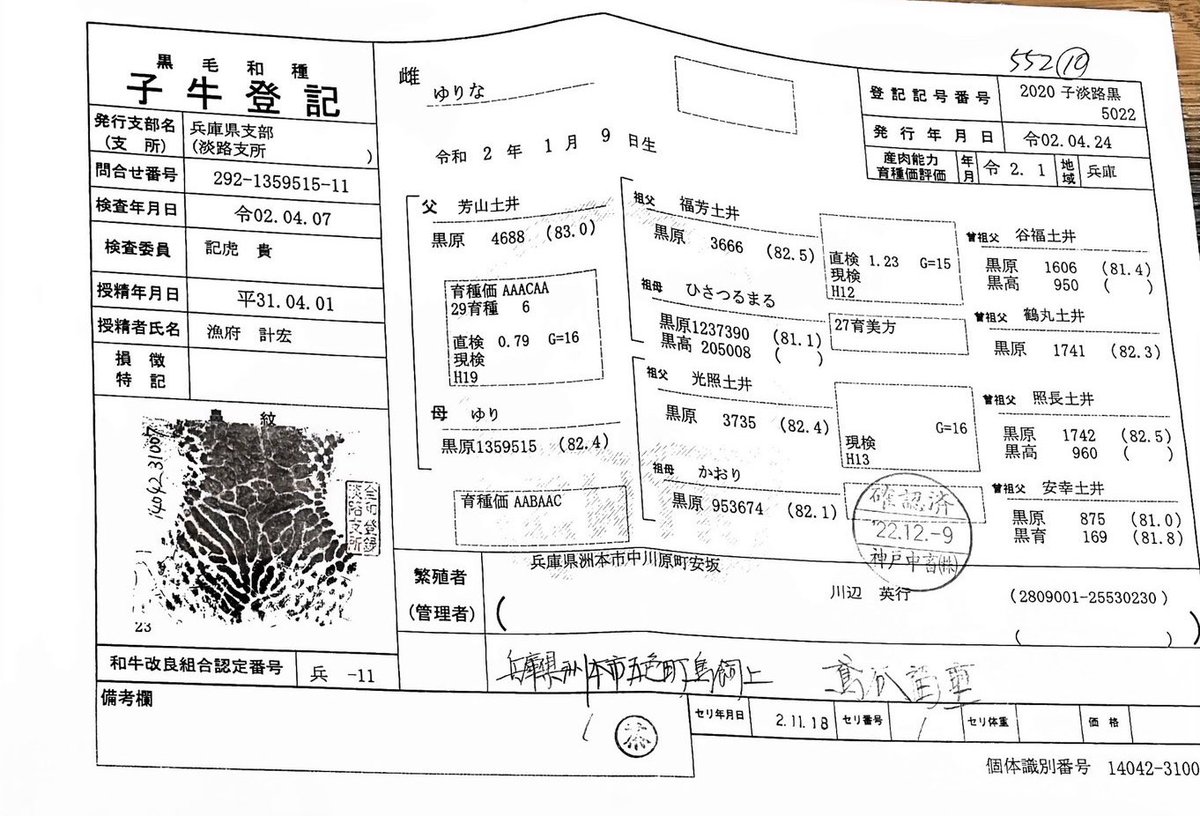 OSAKASHIBUYA's tweet photo. 【渋谷店新年特別企画】

神戸牛堪能コース
鉄板カウンター席

おひとり様　8,000円

・本日のサラダ
・神戸牛鉄板焼き100g
　和牛鉄板焼き100gの豪華食べくらべ
・OSAKA。のお好み焼き
・本日の甘いもの

1/2-1/5 限定、昼夜可能/予約制
(お子さま同伴も大歓迎です)

ご予約は　03-5422-3545 🥩 https://t.co/EBL4HJbnYR