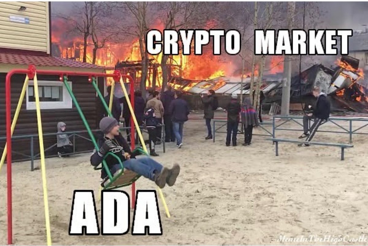 ADA Holders enjoying Themselves 🤨
#CNFT #ADA  #CardanoADA #CardanoNFT #CardanoCommunity #ADAgiveaways #CNFTCommunity #CNFTMemes #memes #Cryptotrading #Cardano