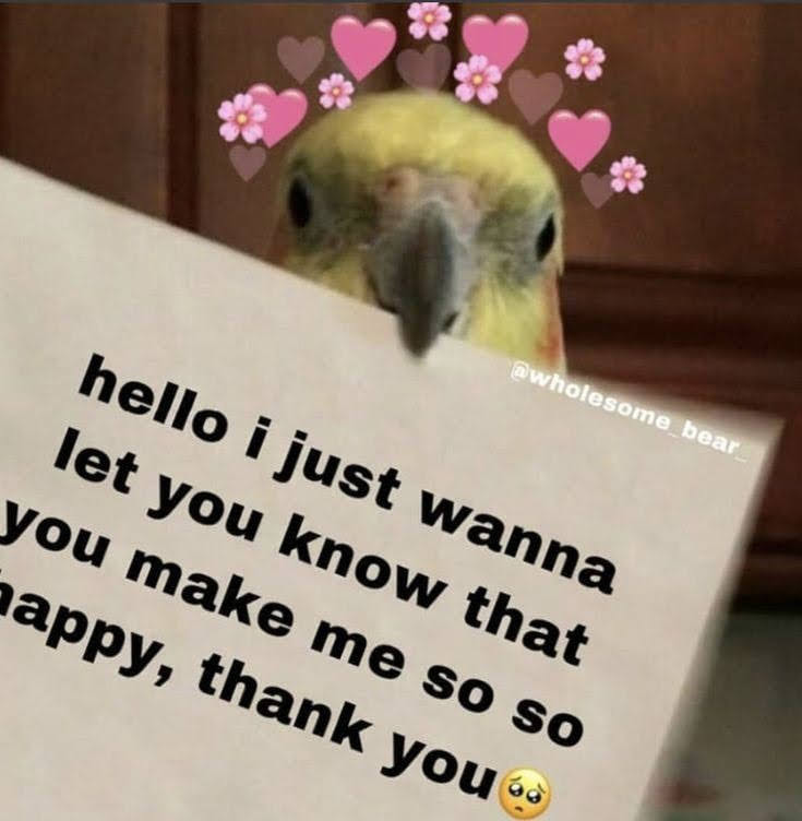 spnmessages's tweet photo. DM me the @ of someone who makes you smile and I'll add them to this thread 💙 https://t.co/DxqDbhVhn0