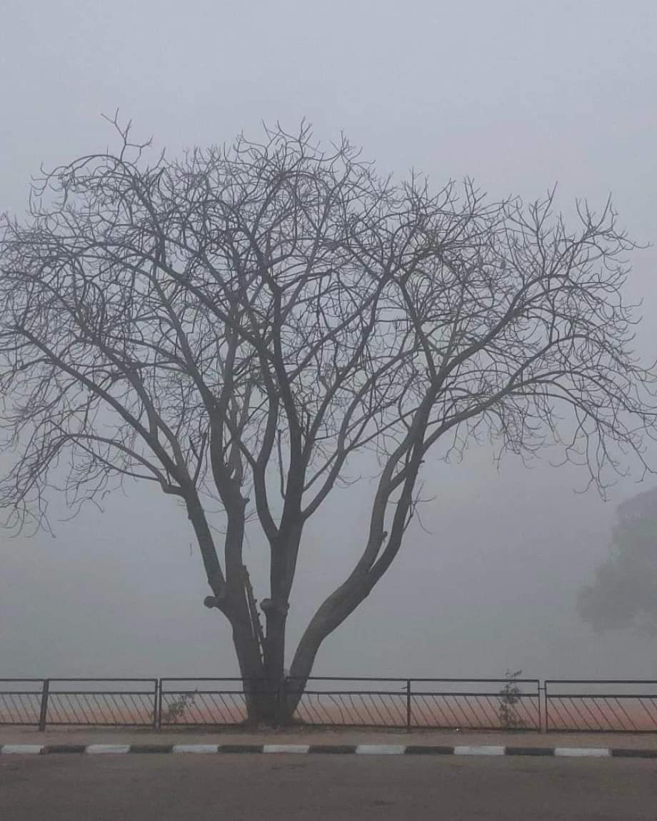 Dear Fog 🌫️ welcome to #Chandigarh 
#thecitybeautiful
#December