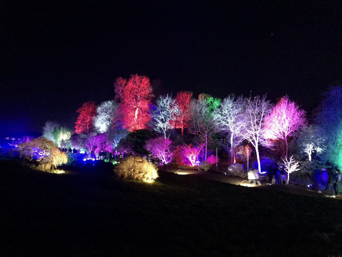 JohnMcleanjnm's tweet photo. If you want to see the stunning RHS Wisley at night: visit RHSGLOW https://t.co/KfhcL5KYG1