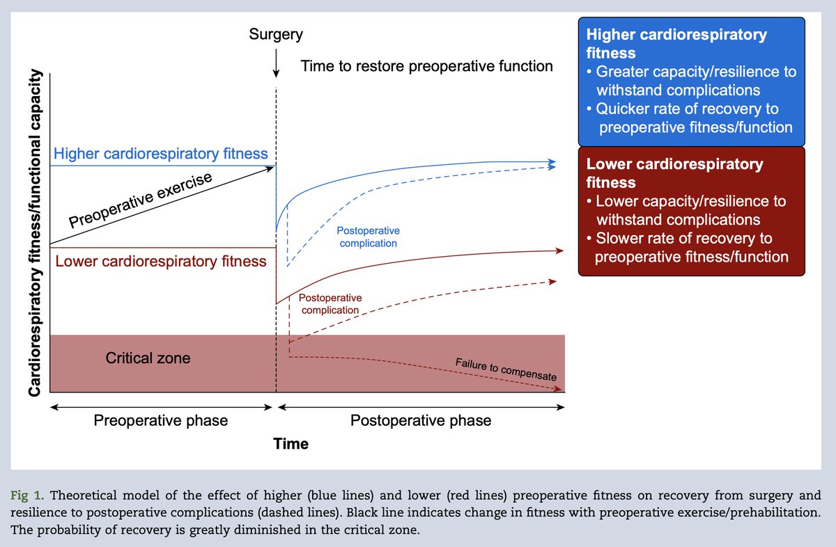 Physiological relationship between cardiorespiratory fitness and fitness for surgery. New narrative review by Roxburgh et al

bjanaesthesia.org/article/S0007-…

#perioperative #surgery #anaesthesia #fitness