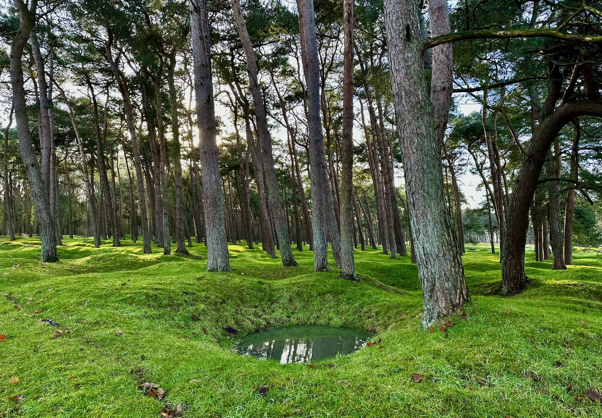 Ri315e's tweet image. #frontlinefriday

Where are we today?