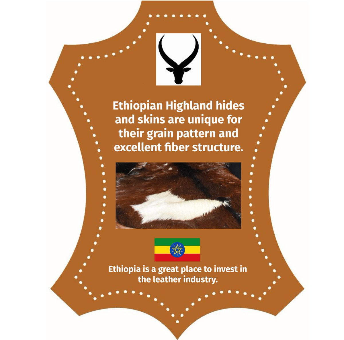 #leathervaluechain #leathers #leathergoods 
@EthioInvestment @LeatherLidi @LeatherEthiopia 
@Yassin_Awale