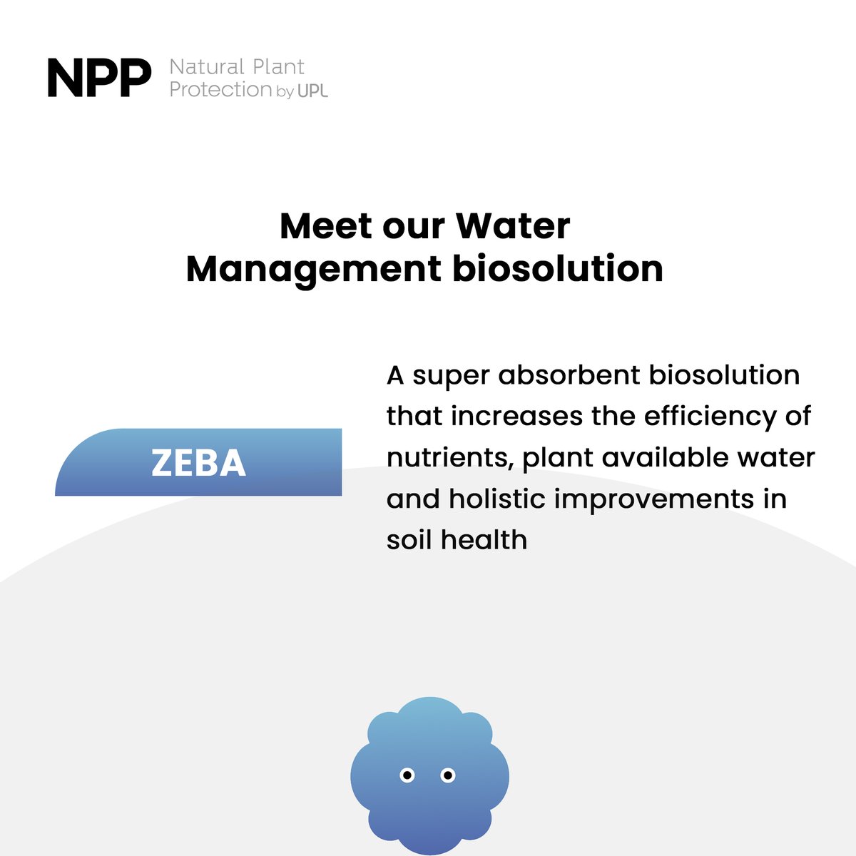 NPP_global's tweet photo. NPP’s climate-smart biosolution Zeba is a sustainable tool to reduce the requirement of water for irrigation. It absorbs water and releases it back to plants when they need it, creating healthier plants, more uniform crops and higher yields.
#NPP #Biosolution #WaterManagement https://t.co/ZYFHxkBPPG