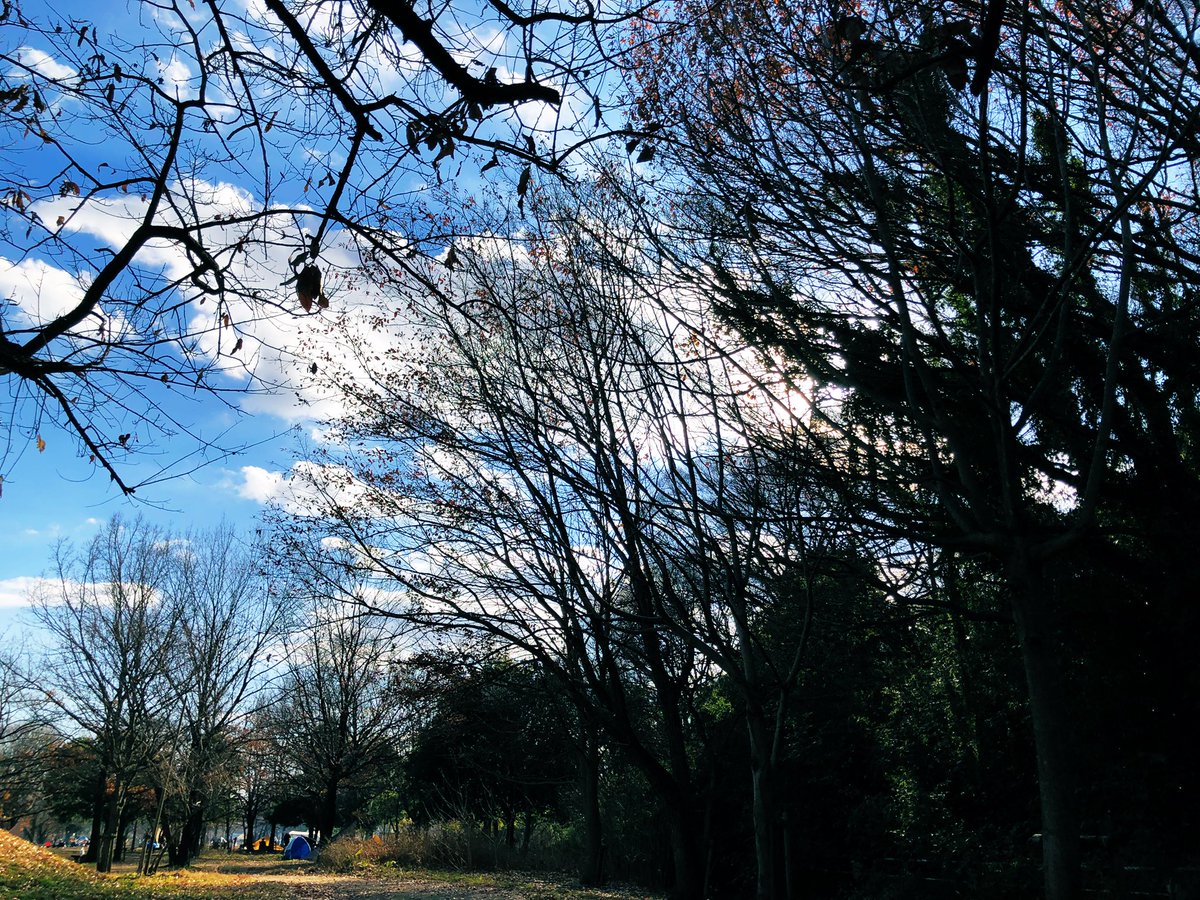willwill429's tweet photo. 週始めは弾丸東北、今日はのんびりデイキャンプ🌿��構遊んだ感あるのにあと4日も休めるの嬉しみ🥳 https://t.co/brIc9UrZtb