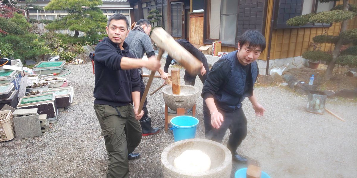 年末恒例餅つき　一座総出で参加してまいりました
来年も良い年になりますように
#銀之城一座　#餅つき　#西尾