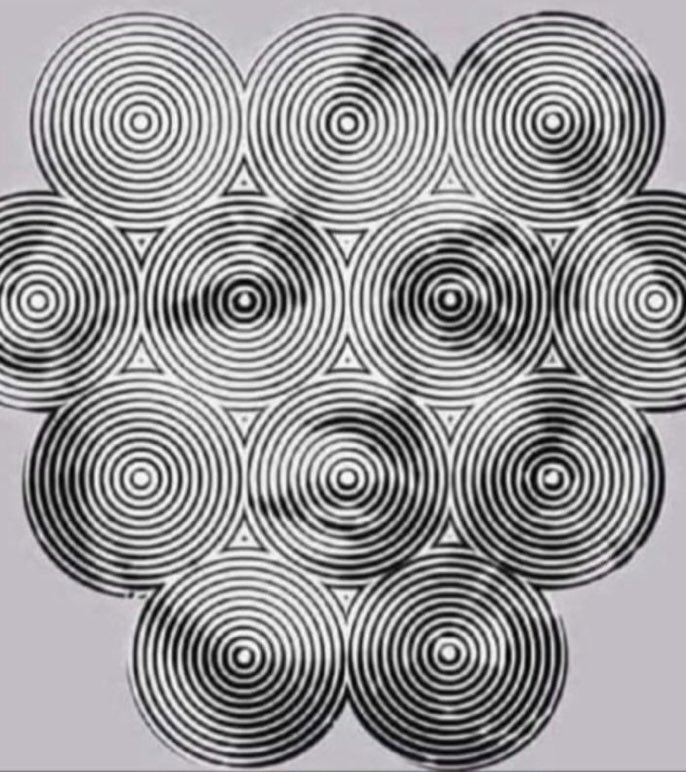 Vladimir Ross tweet media