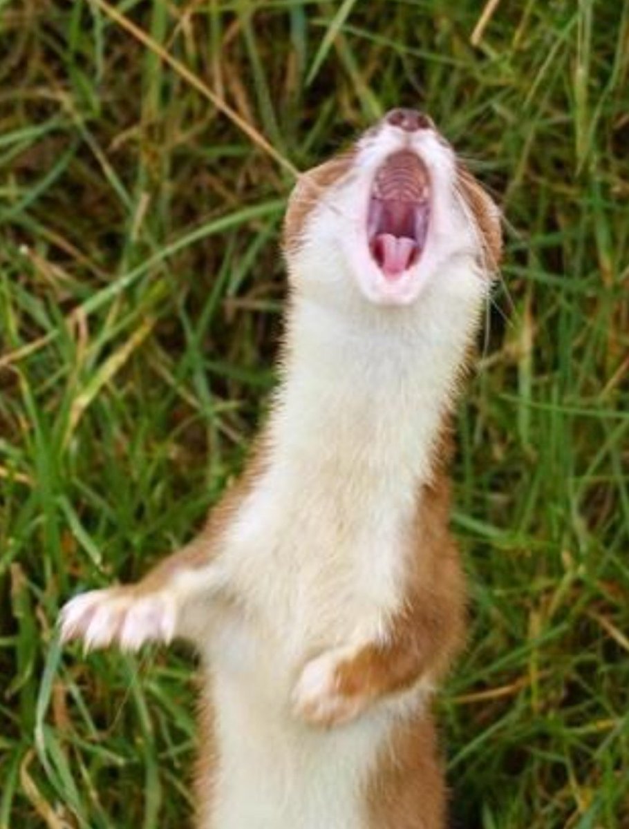 Goood Morniiiinngg 🤘