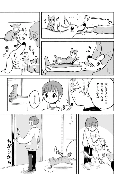 じつは隠れてめちゃくちゃ遊んでた話