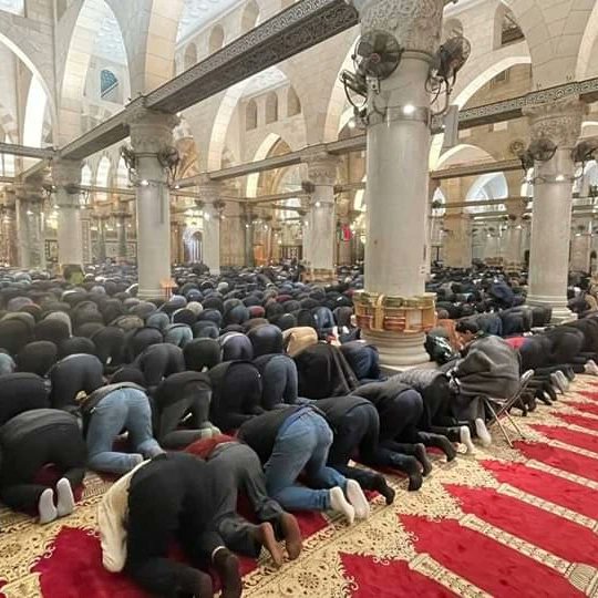 AhlamAmk17's tweet photo. Thousands of #Palestinian worshippers perform Al-Fajr prayer at Al-Aqsa Mosque in the occupied city of #Jerusalem.

#16thOctoberGroup https://t.co/acwMjPj1aN