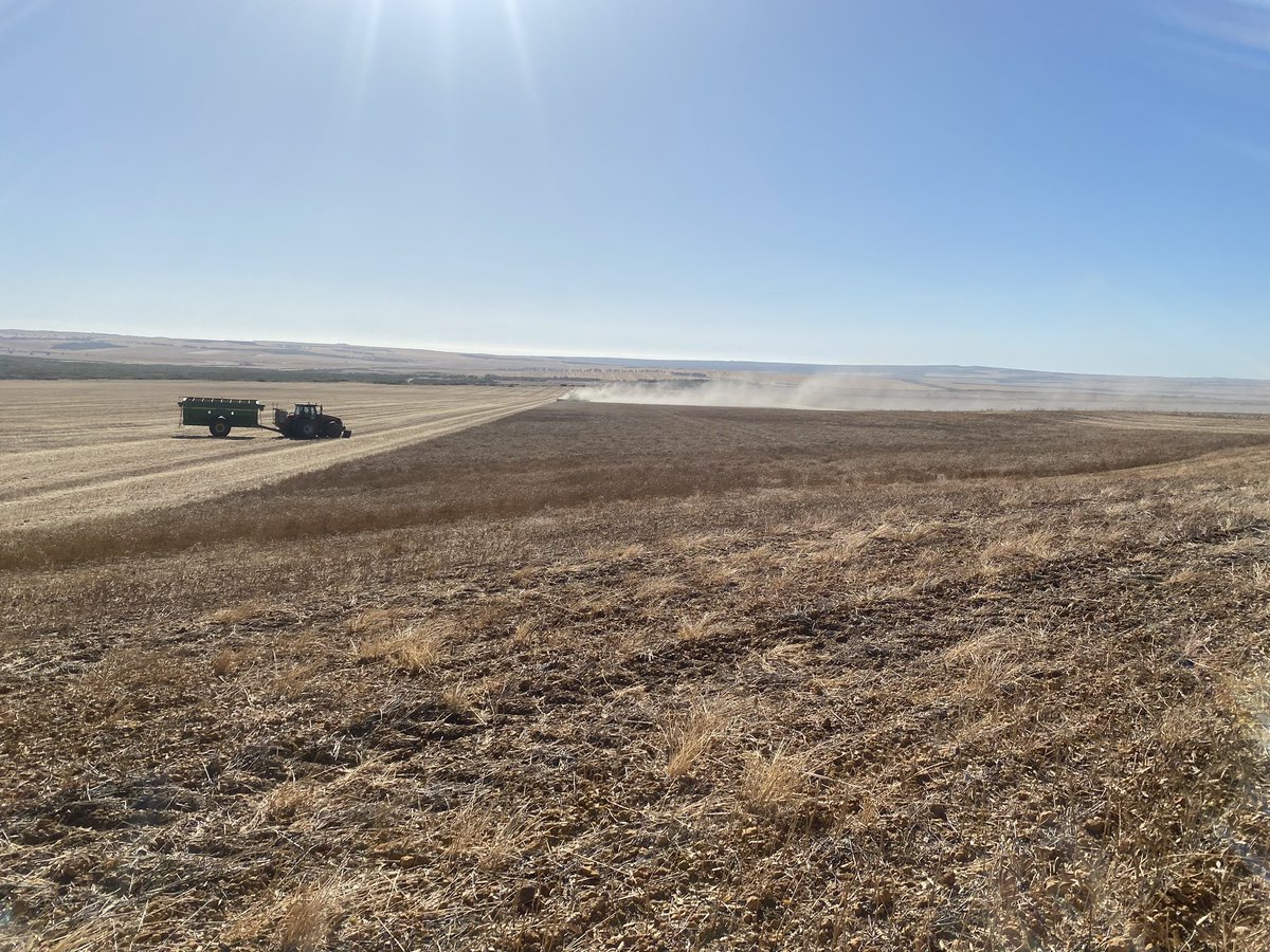 The end is near#fridaycutout