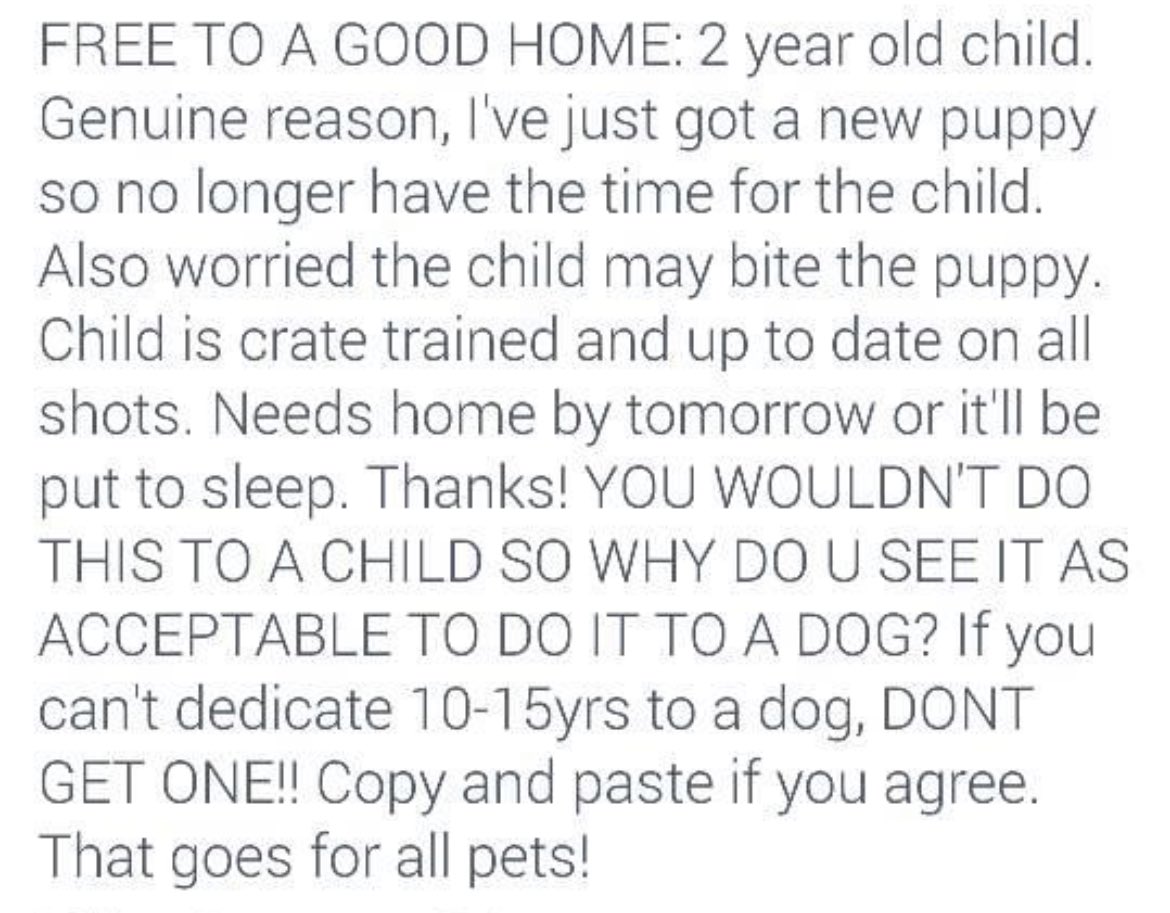 NicNic711's tweet image. ⁦@GSDRofficial1⁩ ⁦@gsrescueelite⁩ ⁦@lasthopeanimale⁩