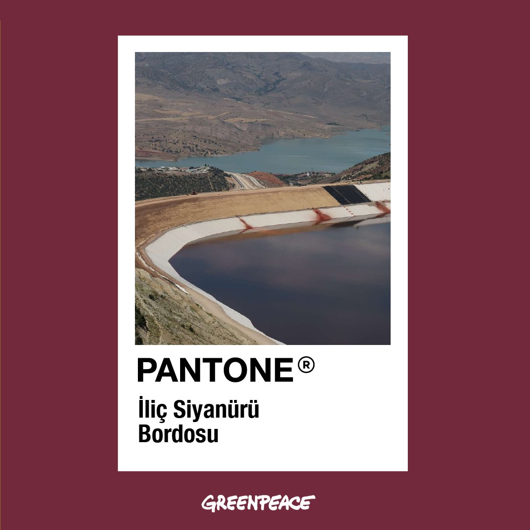 📌Plastik atık siyahı yerine petunya siyahı,
📌Çukurova kuraklığı sarısı yerine günebakan sarısı,
📌İliç siyanür gölü bordosu yerine bulut ağacı bordosu,
📌Çatalağaç köyü kahverengisi yerine orman toprağı kahverengisi.