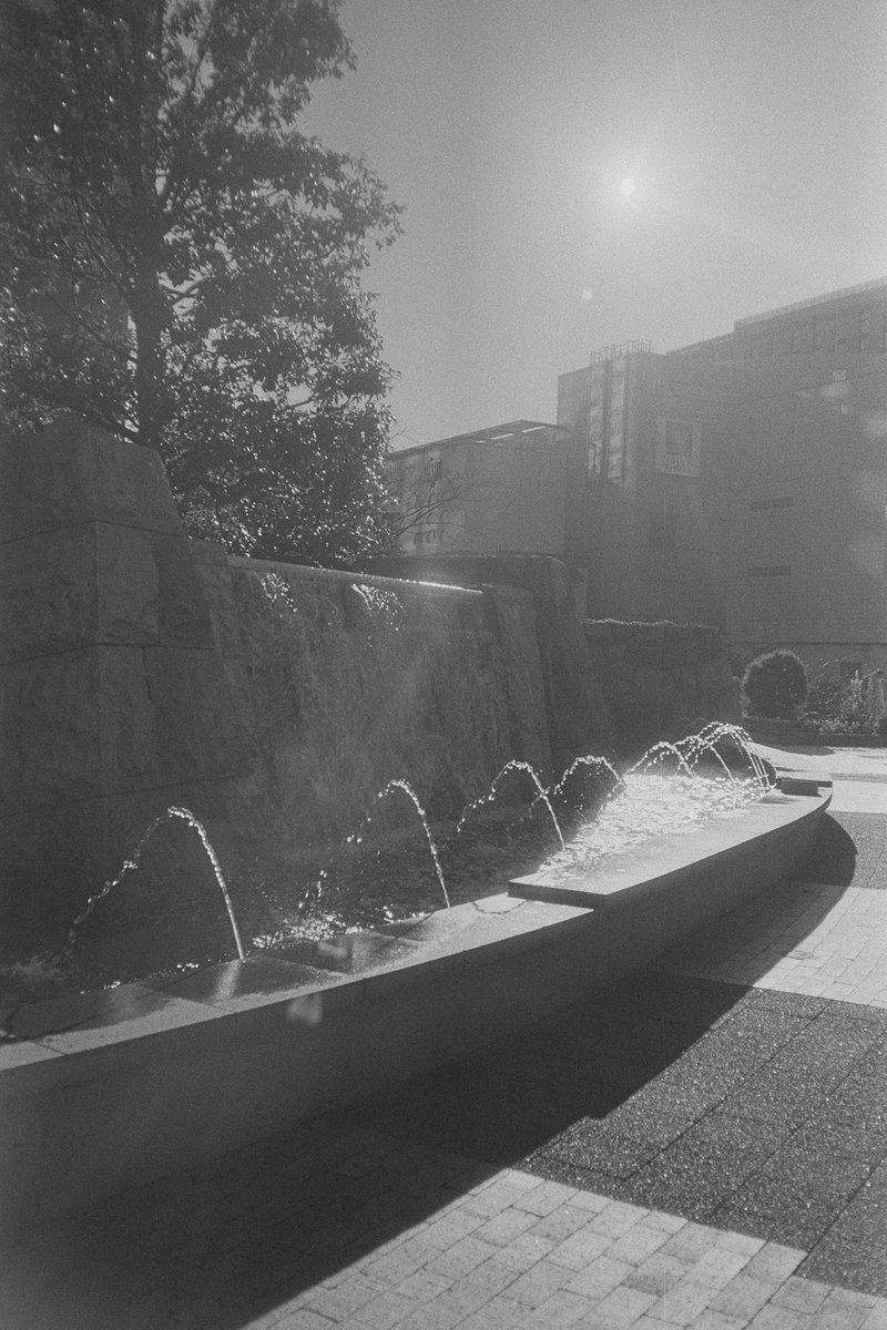 umekotoboku's tweet photo. 久しぶりに減感で5222を処理したけど、眠いネガになっちったな。
Olympus XA / Eastman Double-X 5222
#kodak #フィルムカメラ #シネフィルム #自家現像 #filmphotography
#olympusxa #eastmandoublex #doublex5222 #xtol https://t.co/kklS5En4IW