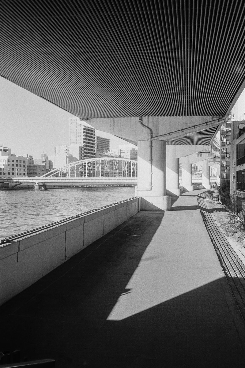umekotoboku's tweet photo. 久しぶりに減感で5222を処理したけど、眠いネガになっちったな。
Olympus XA / Eastman Double-X 5222
#kodak #フィルムカメラ #シネフィルム #自家現像 #filmphotography
#olympusxa #eastmandoublex #doublex5222 #xtol https://t.co/kklS5En4IW