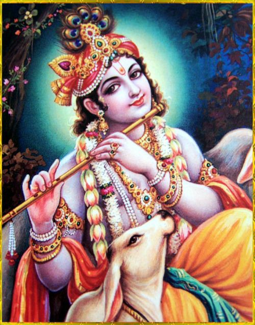 Krishna (@av32322) on Twitter photo 