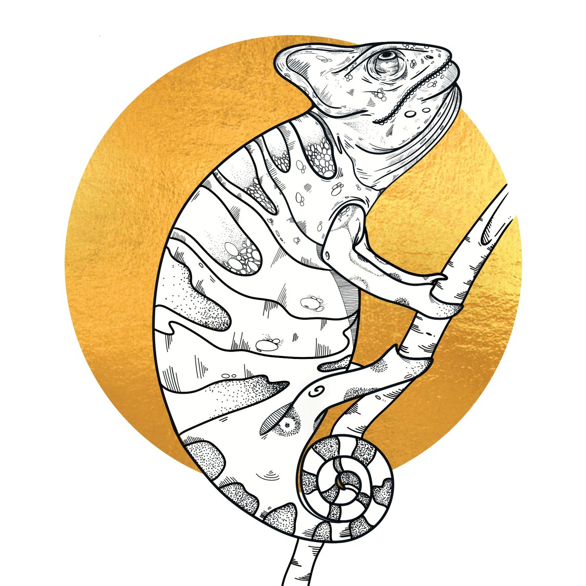 Golden chameleon ✨️🦎
#animaux #animals #pets #drawing #illustration #chameleon #dessinanimalier #animaldraw