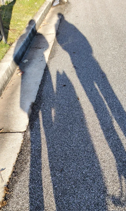おはよ。氷が好きすぎて氷はってる所を歩きたがるギムリ。 