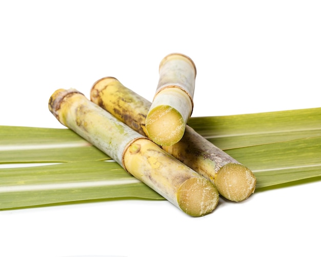 pakcommodities1's tweet photo. #sugarcane prices have increased by 34% this year, but #sugar prices have not increased in proportion.  The sugar industry is in crisis.  But surprisingly, the sugar industry issues a press release only every third day, no action has been taken yet by the industry. https://t.co/vuqkm022tK