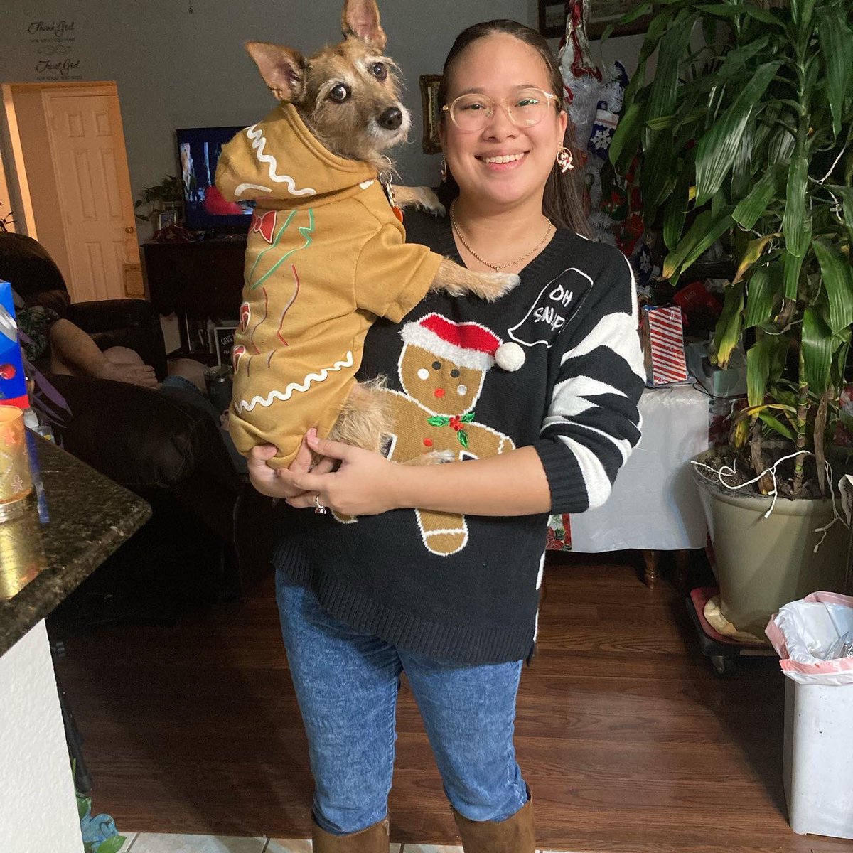 HerbieMooland's tweet photo. Dreams of Gingerbread! ☺️

We are still living with holiday spirit and decor out here, how long does yours usually last? 🎄🐶🥰
#holidaycheer #christmasdecor #stilldecoratingthehouse #howlongwillitlast #gingerbreadman #gingerbread #dogdressedup #matchingwithmydog #matchingwithmom https://t.co/3VEvXrwHFI