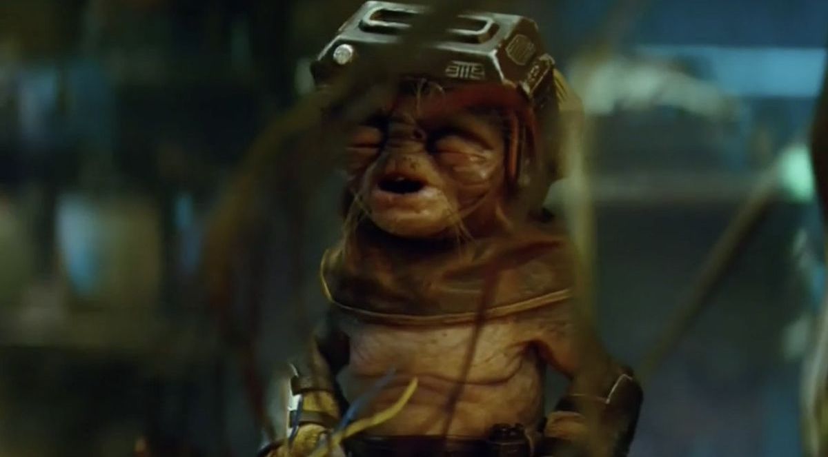 Kelly Knox tweet media