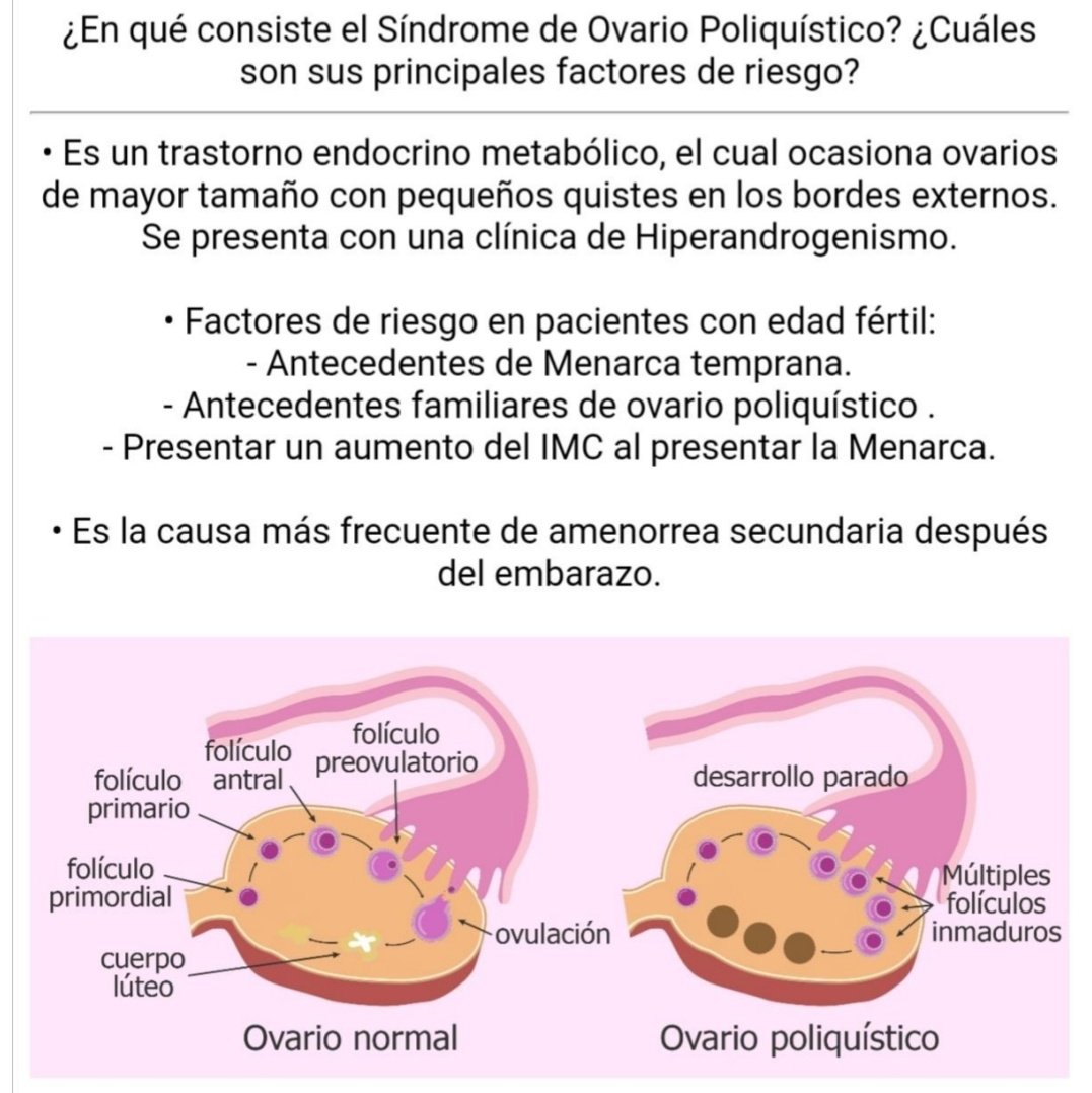EnarmFlash's tweet image. ⚡️Factores de riesgo presentes en el Síndrome de ovario poliquistico.