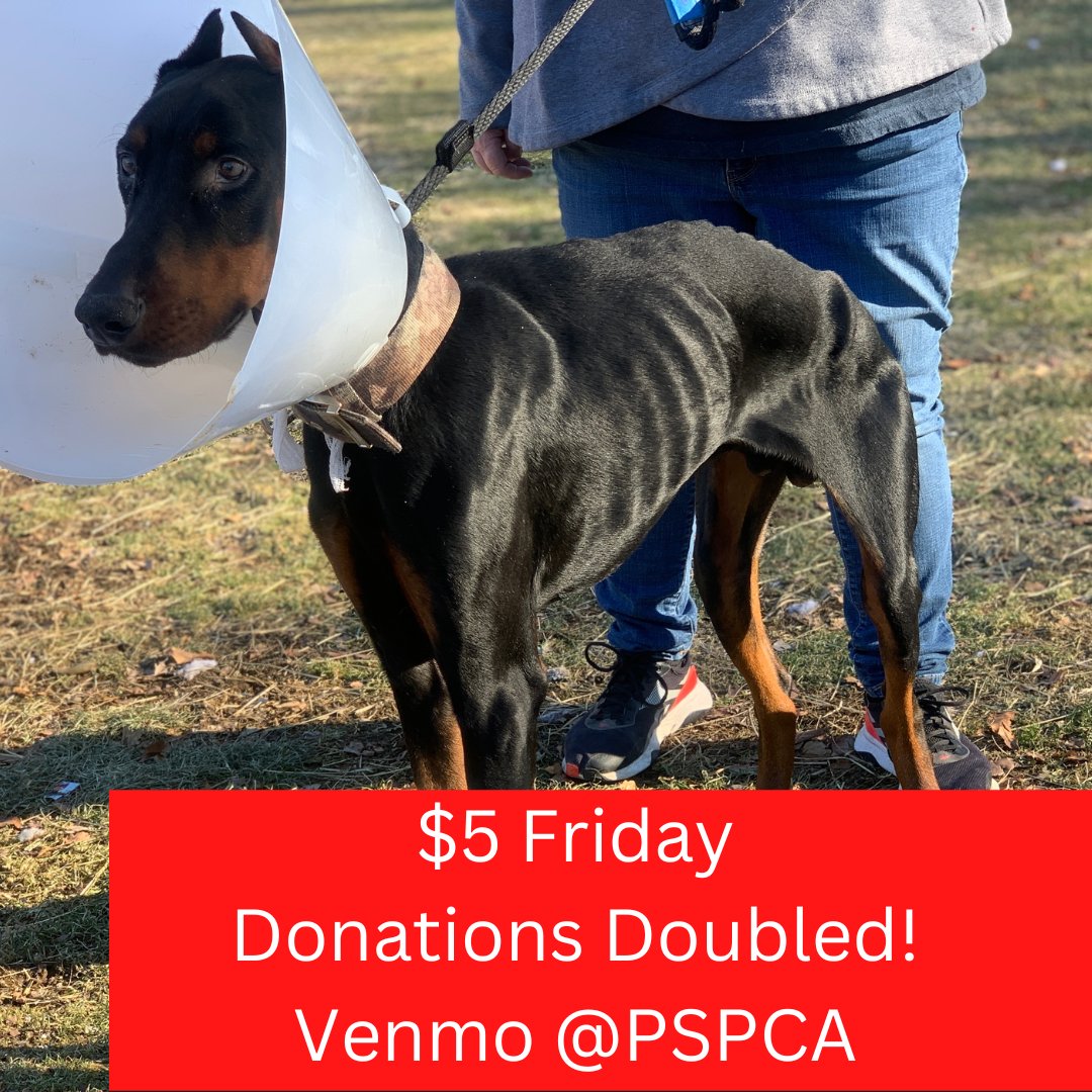 Pennsylvania SPCA on Twitter "Through December 31, all donations are