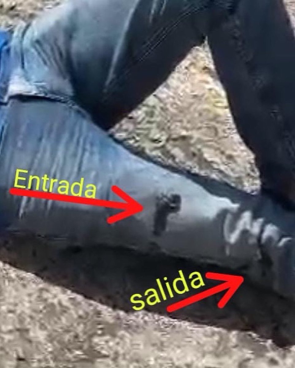 Apuntó a la víctima, apuntó a su perro y terminó disparándose el. 

Es el General Raul Adrian Lugo Mejías de la promoción de 1985, graduado al puesto 124 de 139 oficiales.