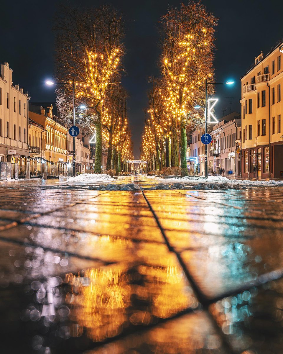 #Kaunas #Lithuania #Z9 #NikonZ9 #nikkor1224f28 #nikon1224mm #kaunascity #nikonmirrorless #nikoneurope #Lietuva #kaunastic #kaunas2022 #winter2022 #laisvesaleja #bokeh