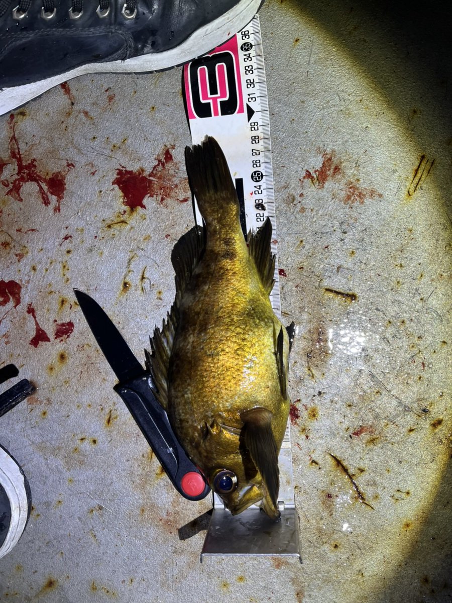 しおん (@shion08131) / X