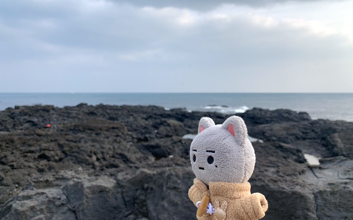 떡코 현상이랑 현냥이 ˚ ༘♡ ⋆｡˚